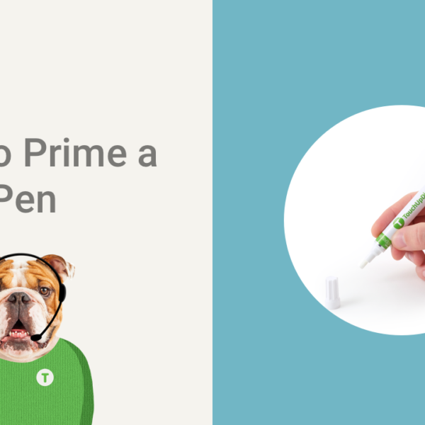A graphic design of a dog wearing a headset with a mic with a text of How to Prime a Pen