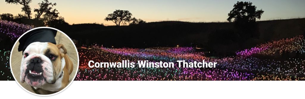 Cornwallis Winston Thatcher profile header