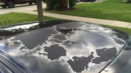 acid rain damage on cars