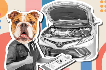 Cartoon visual of a dog mechanic fixing a toyota car