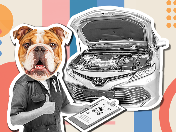 Cartoon visual of a dog mechanic fixing a toyota car